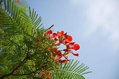 《WWE 2K25》Steam页面开放 发行日期待定